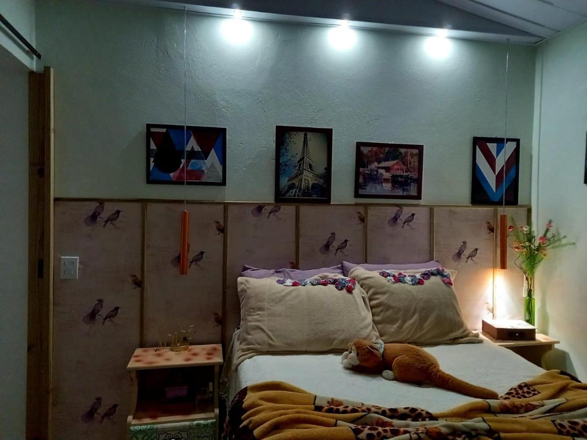 Casa Perto Do Centro Villa Garopaba Ngoại thất bức ảnh